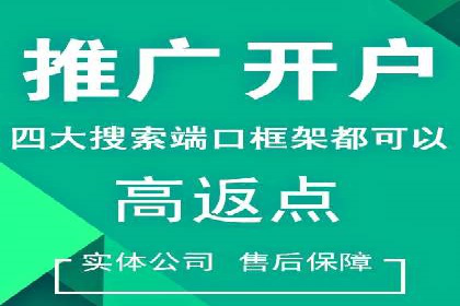 解析SEM竞价代运营的成功要素及案例